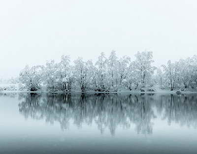 Trump pide a Putin que suspenda los ataques contra Ucrania debido al frío invernal