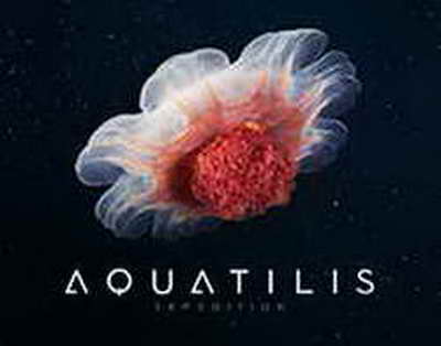 Dünya futbol tarixinə “Qızıl fit” almış yeganə AZƏRBAYCANLI